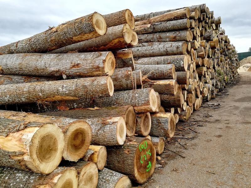 Wooden logs. In a pile , #AFF, #Wooden, #logs, #pile #ad | Wooden log, Timber, Wood logs