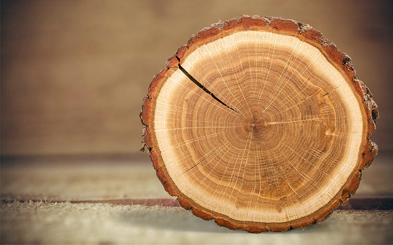 Chia sẻ] Cách tính khối gỗ tròn chuẩn nhất - Mộc Nam Dương
