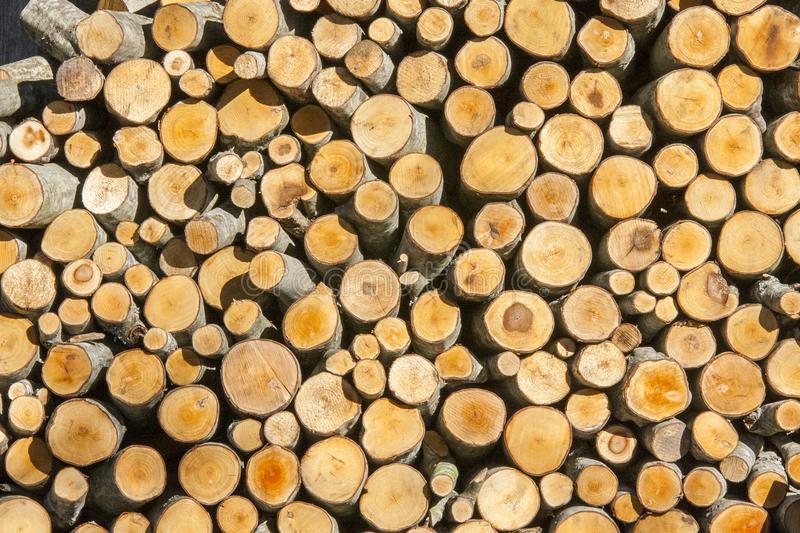 235,506 Round Wood Photos - Free & Royalty-Free Stock Photos from Dreamstime