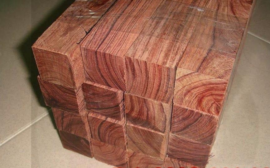 Gỗ cẩm liên là gỗ gì? Mọi thứ bạn cần biết