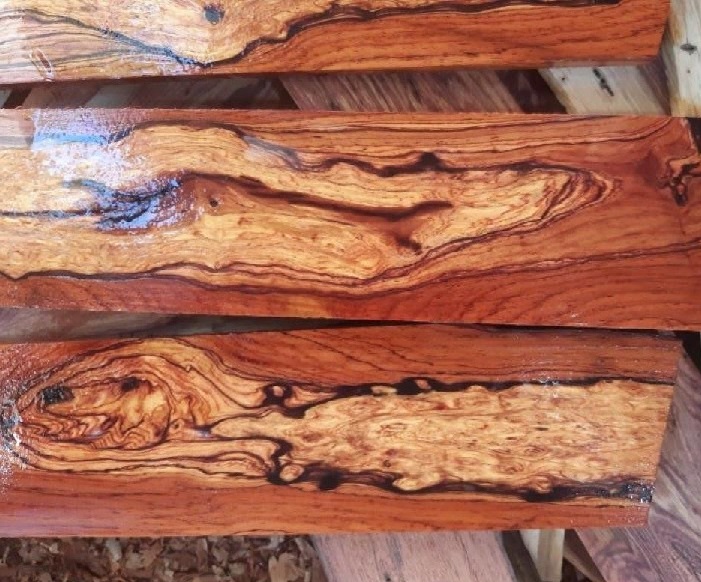 Gỗ cẩm liên là gỗ gì? Mọi thứ bạn cần biết
