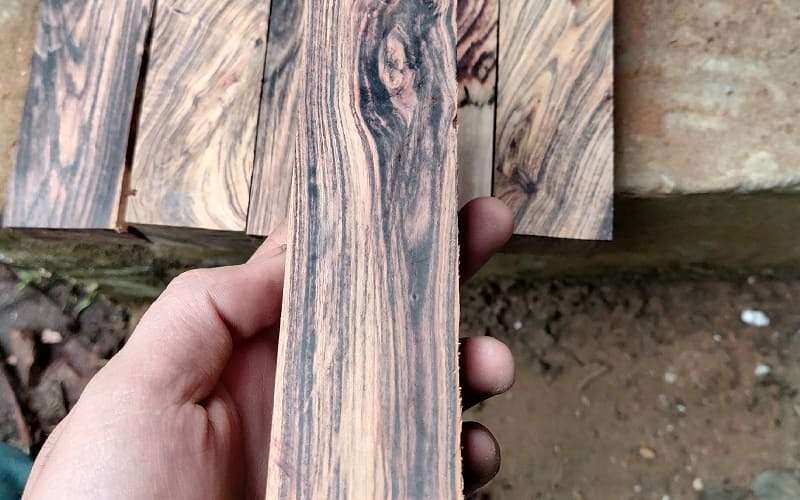 Các loại gỗ cẩm thị