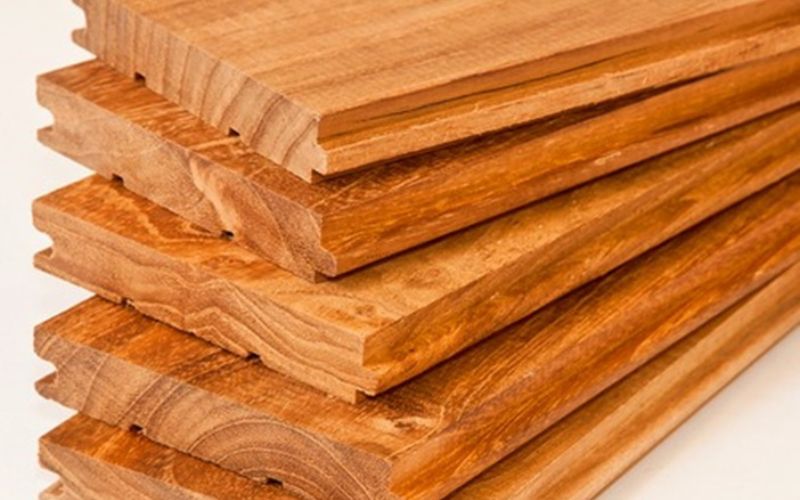 Gỗ chò chỉ là gỗ gì? Có quý hiếm không và ứng dụng của chúng trong đời sống