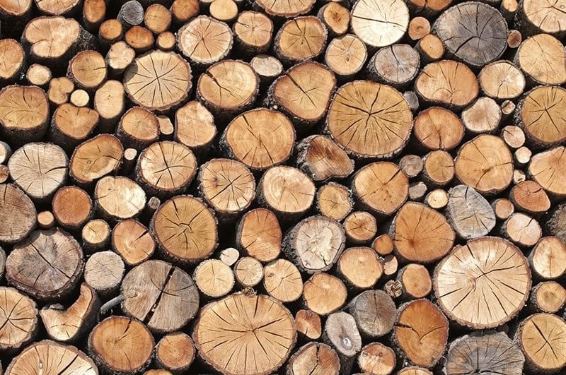 Các loại gỗ có khối lượng riêng khác nhau.