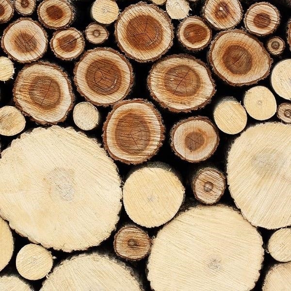 Trọng lượng riêng là một chỉ số để đo mật độ của gỗ.
