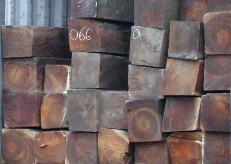 Cây gỗ lim là loại cây có giá trị kinh tế cao và được sử dụng rộng rãi trong ngành công nghiệp đồ gỗ. Với đặc tính chắc và đẹp, cây gỗ lim được ưa chuộng để sản xuất nội thất, đồ dùng gia đình và các sản phẩm khác. Ngoài ra, cây gỗ lim còn có tác dụng làm tăng giá trị của các khu rừng nơi chúng mọc và đóng vai trò quan trọng trong việc bảo vệ môi trường.