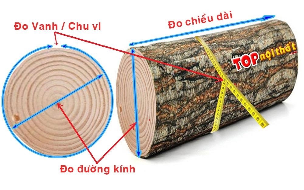 Để tính toán thể tích của một khúc gỗ tròn, chúng ta cần đo chiều dài, đường kính và vanh của nó. Việc này có thể được mô tả bằng hình ảnh đo chiều dài và đường kính của khúc gỗ để tính toán thể tích của nó.